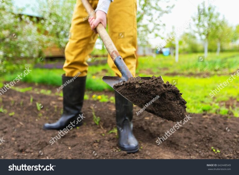 Co vám zemědělci nikdy neřeknou o správném vyorávání půdy