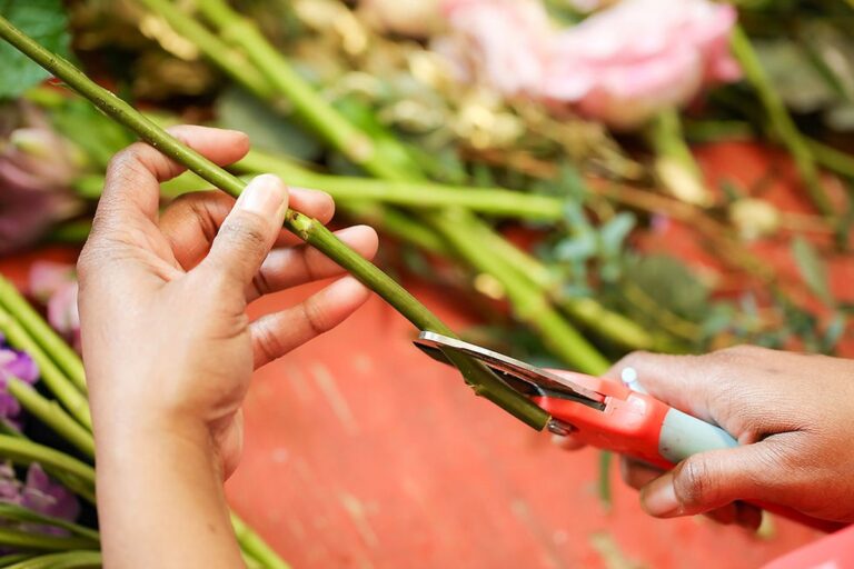Floristu se ptáme: proč vždy krájejí stonky květin pod úhlem