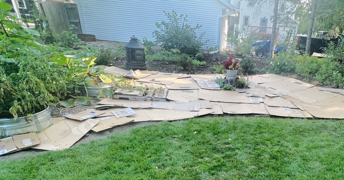 Jak papírové krabice zatočí s plevelnicí bez chemie - image 1