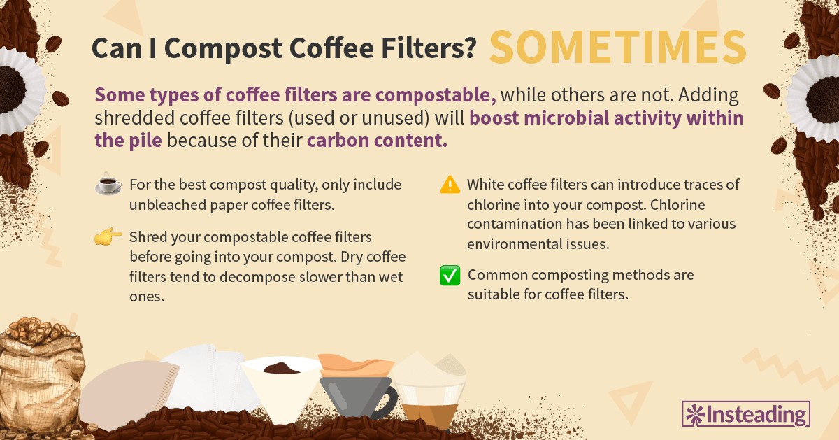 Kávový filtr jako záhradní pomocník: proč jej zahradníci dávají do půdy - image 2