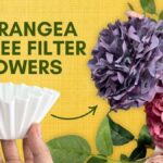 Kávový filtr v kořenech: Jak zadržet vlhkost v květináči na 3x déle