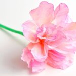 Kávový filtr v květináči? Trik, který zastaví erozi půdy o 40%