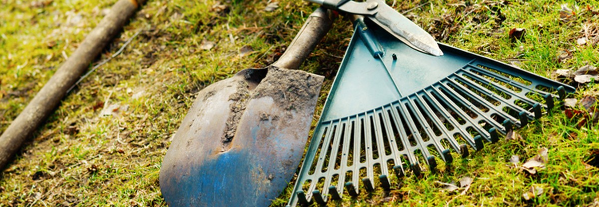 Kávový olej na zahradních nástrojích? Proč údržbáři toto skrývají - image 1