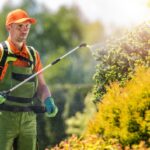 Klusání na zahradě bez nákupu přípravků: trik zemědělců s moukou a solí