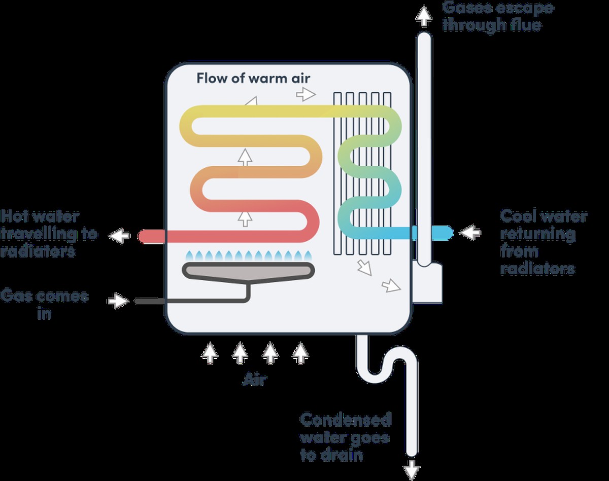 Kondenzační voda ze stokna: Proč zahradníci plní květiny právě tímto - image 1