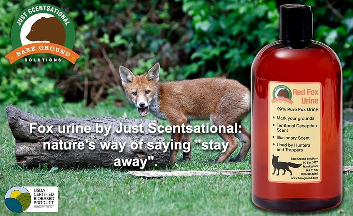 Liščí moč na záhonech: proč to zahradníci skrývají před sousedy