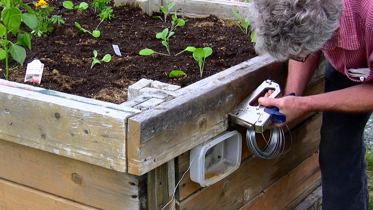 Mořská sůl na slimáky? Věda vysvětluje, proč je to účinnější než jedovaté návnady - image 1