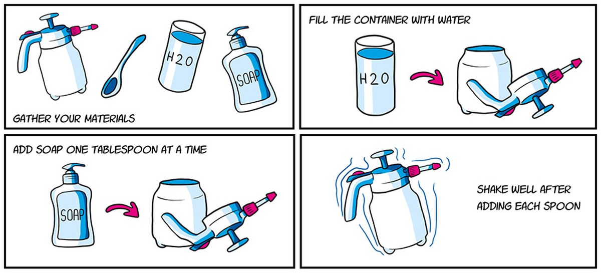 Mýdlová voda a několik kapek oleje: proč to zastavuje škůdce na rajčatech - image 1