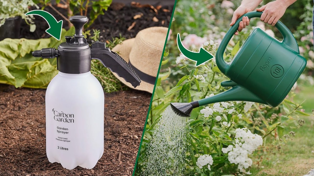 Mýdlová voda z mytí nádobí zabijí mšice na zahradě za 24 hodin - image 2