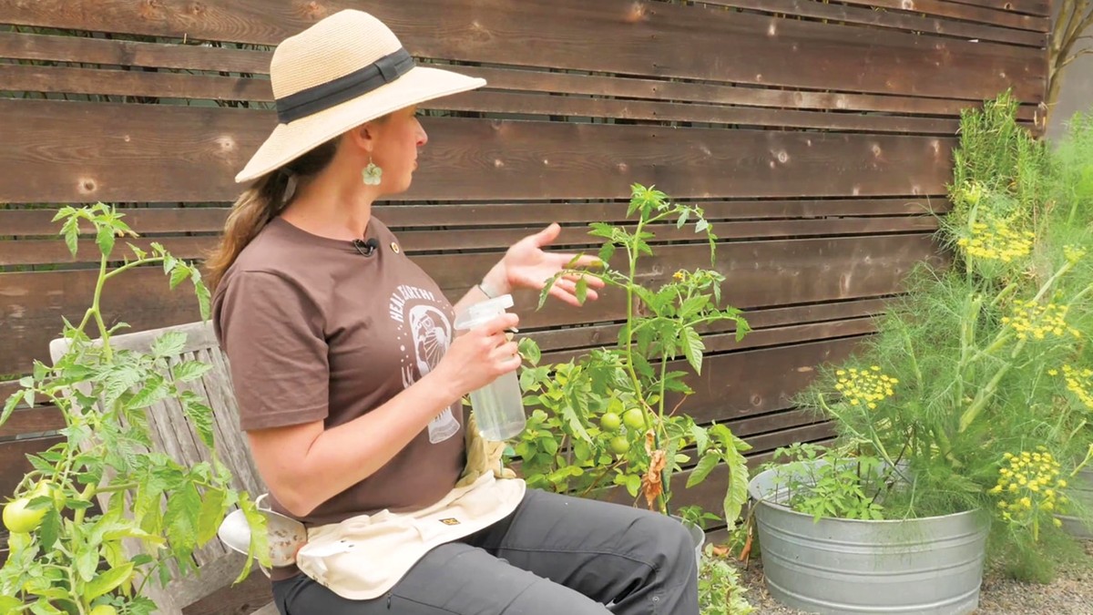 Obyčejné mýdlo v zahradě dělá zázraky proti molům