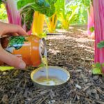 Papírová role na záchod v zahradě: překvapivý trik proti plzákům