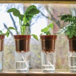Papírová role pod květináč řeší vlhkost v půdě – ušetří vám plíseň