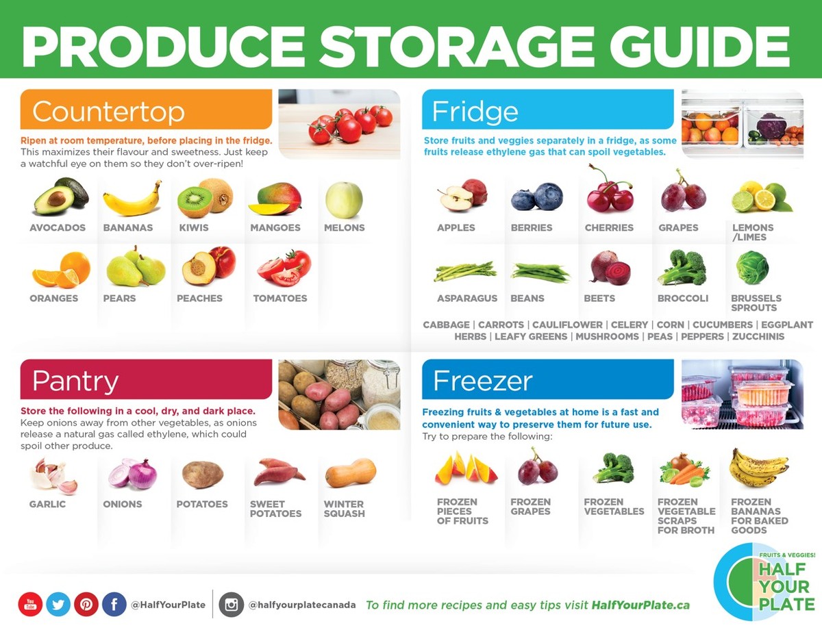 Papírová ručník do lednice prodlouží čerstvost zeleniny o 3 týdny - image 2
