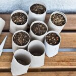 Papírová toaletní role v květináči - chemie která změní vaši zem