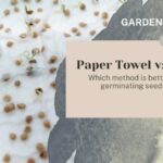 Papírové ručníky v květináčích: proč každý zkušený zahradník toto dělá