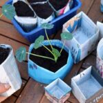 Papírový kelímek pod květiny – proč zahradníci přestali kupovat drahé nádoby