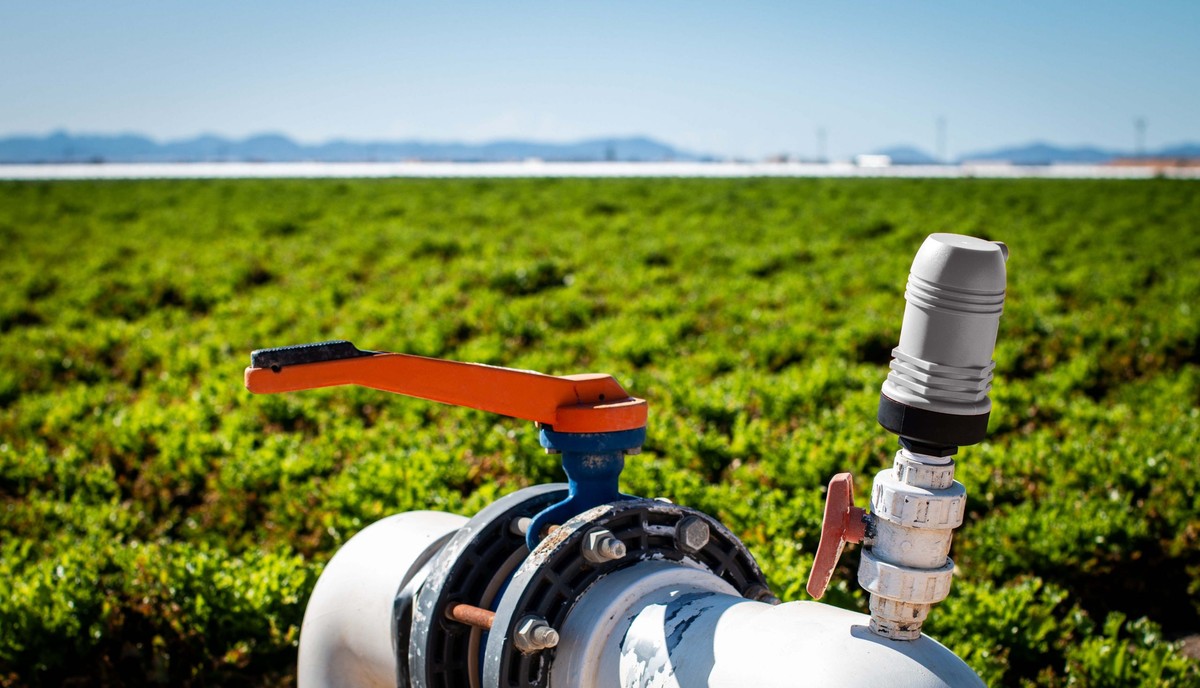 Papírový kelímek v zemi zmírňuje sucho o 40 procent, tvrdí botanici - image 1