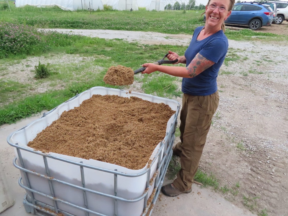 Pivní pulpa jako mulč - proč je levnější a lepší než kůra - image 1