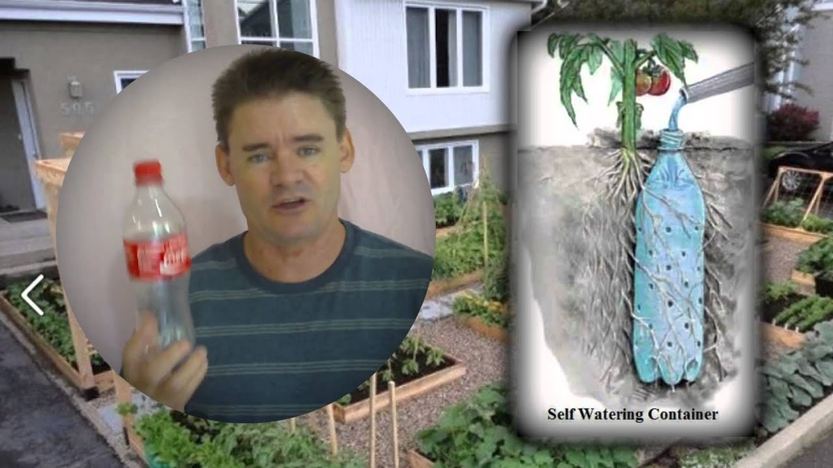 Plastové lahve v zemi? Trik, který vám ušetří desítky litrů vody za sezonu - image 1