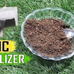 Použitá čajová sáčka v půdě: proč to není plýtvání, ale strategie