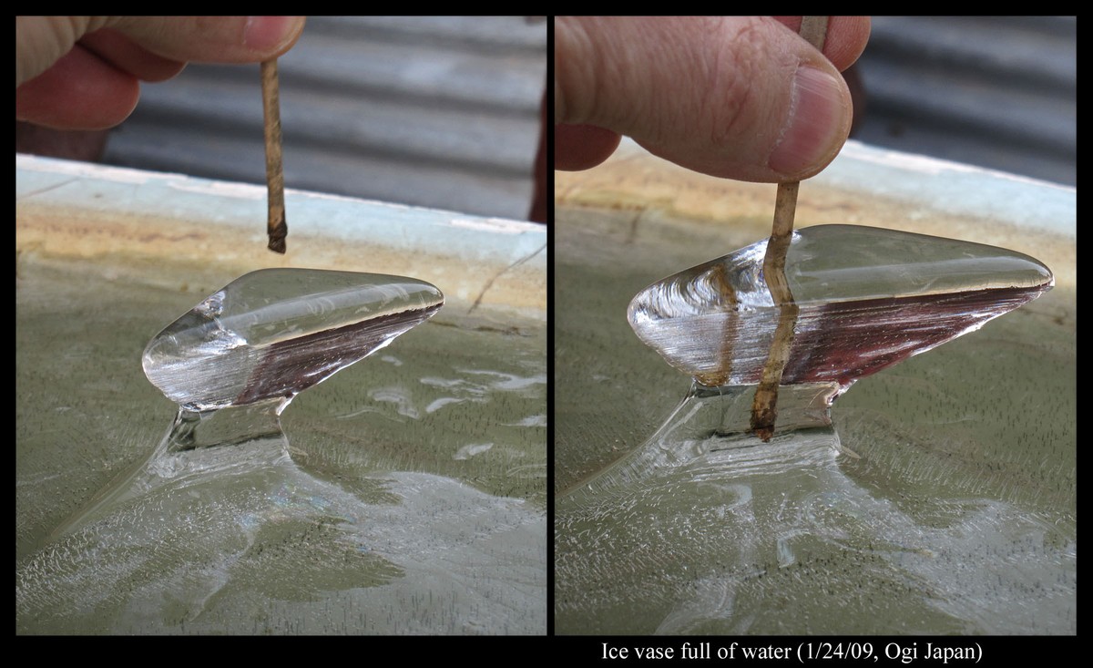 Proč květináři vždy přidávají led do květinového vazna – věda, kterou znají jen profesionálové - image 1