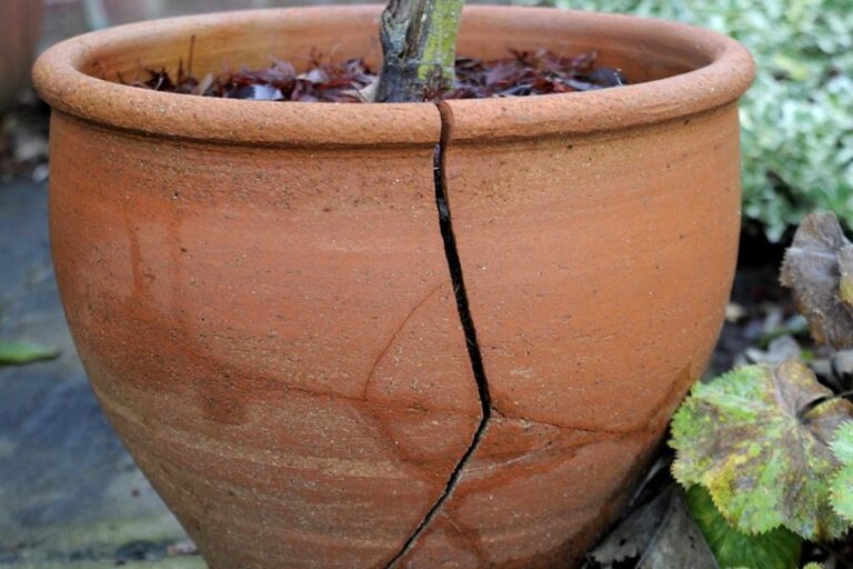 Puklina v květináči opravená jedním trikem – bez nákupu nového