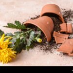 Rozbitý květináč? Místo vyhazování jej převažte a zdobte