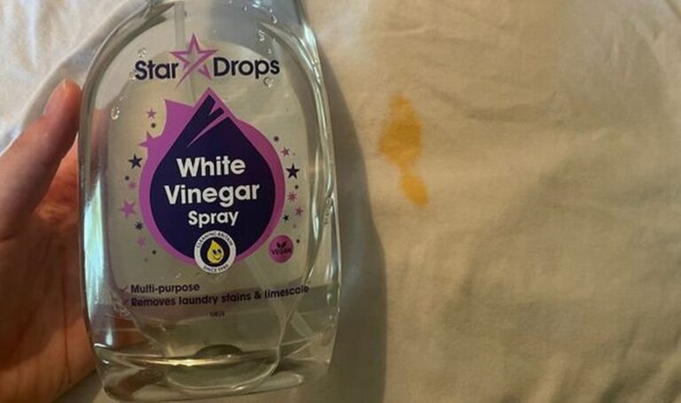 Sirka na rajčata: starobylá zbraň proti houbovým nemocem bez chemie