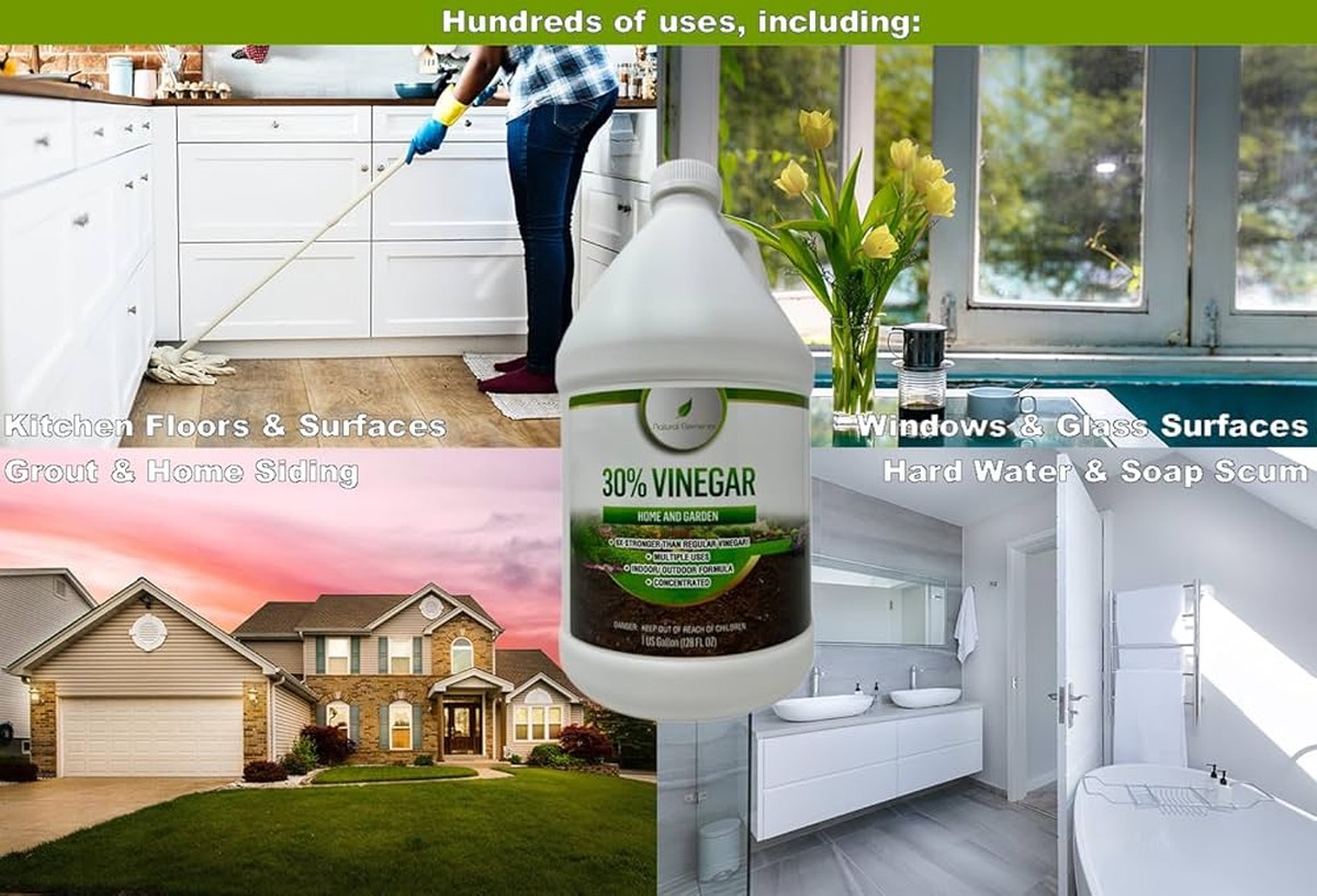 Sirka na rajčata: starobylá zbraň proti houbovým nemocem bez chemie - image 2