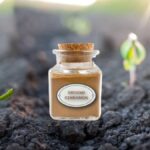 Skořice jako přírodní fungicid: starý babský trik, kterým pěstitelé živí země