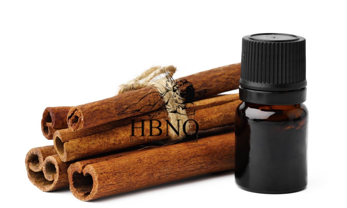 Skořice na květináči zastavuje plísně a hmyz najednou - image 1