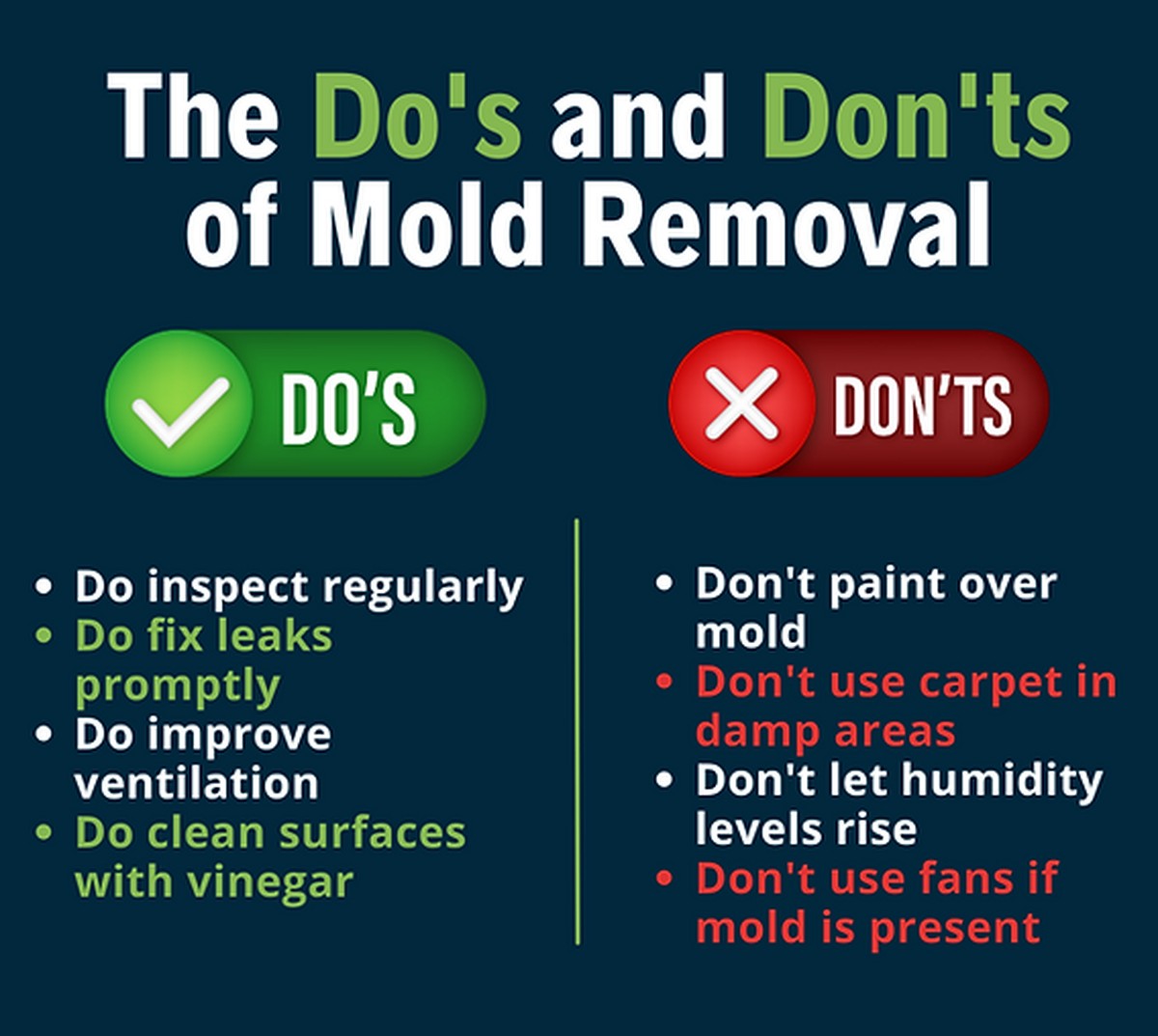 Skořice na půdu brání plísním rychleji než chemie za tisíce - image 1