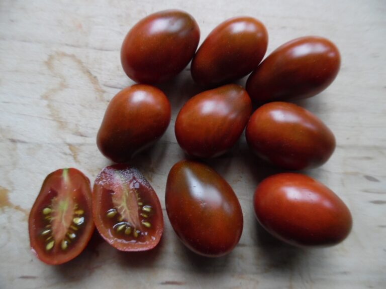 Skořice na rajčatech? Proč to zemědělci používají už 200 let