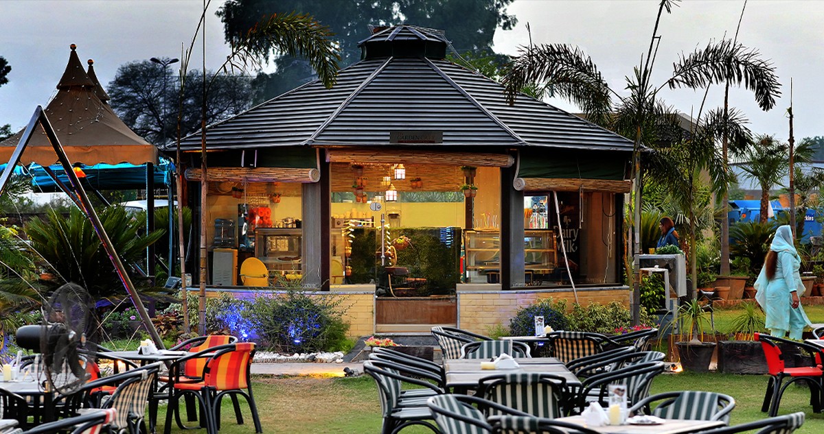 Skořice rozsypaná kolem rajčat: proč se růžice vyhýbají široko daleko - image 2