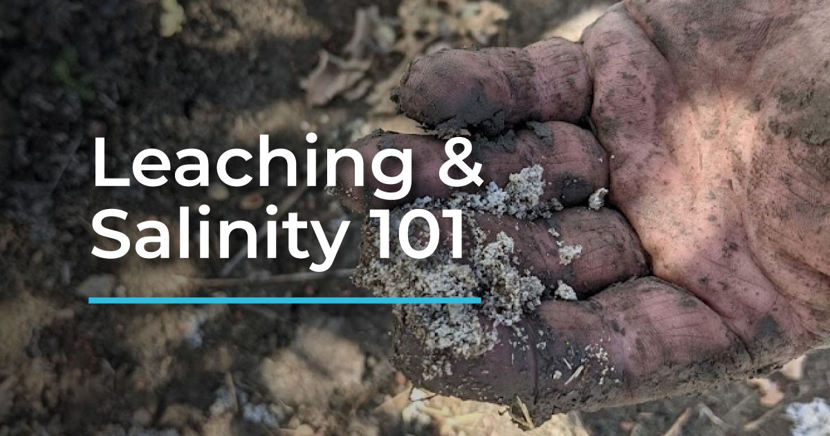 Solný nános na záhonu? Pomocí dvou surovin ho rozpustíte efektivněji - image 2