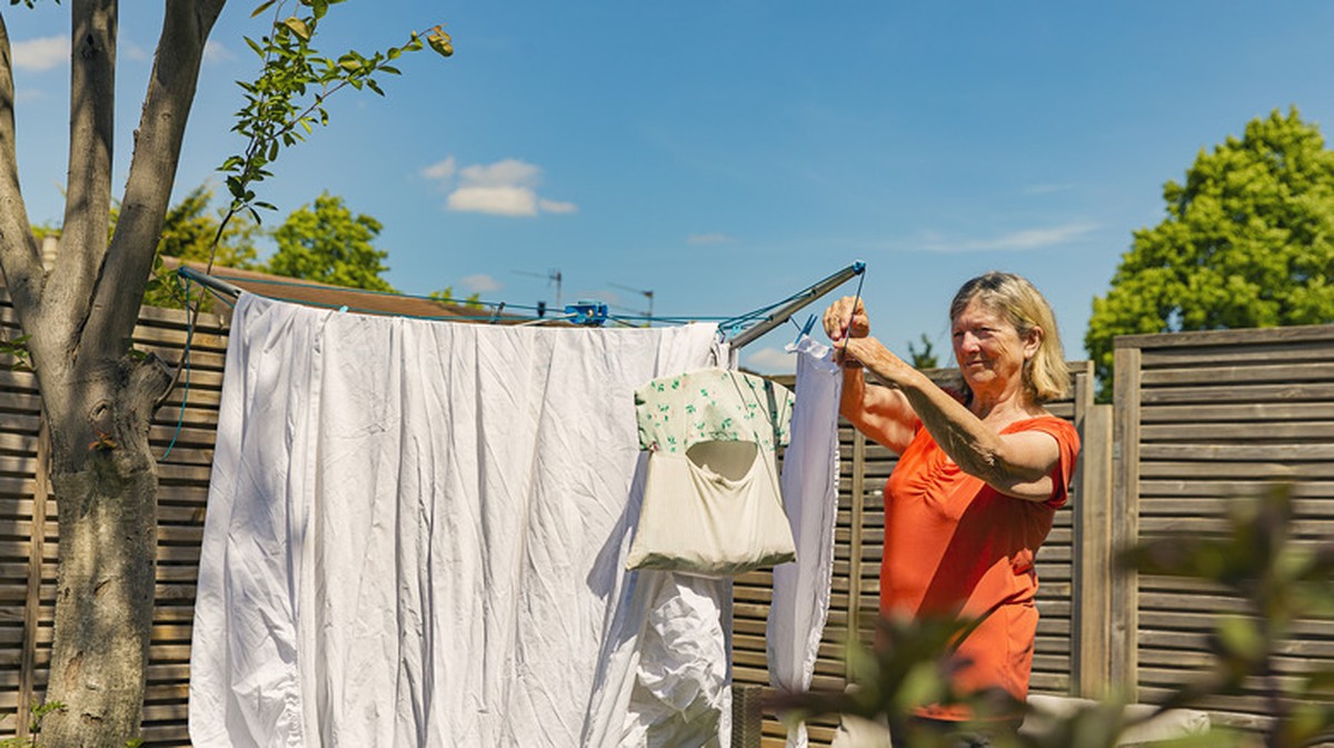 Staré hadry na tyčích? Proč je to nejlevnější způsob, jak chránit rostliny před mrazem - image 2