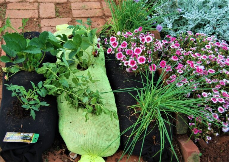 Staré ponožky jako květináče? Jak předělat text-til v rozpočtovém řešení