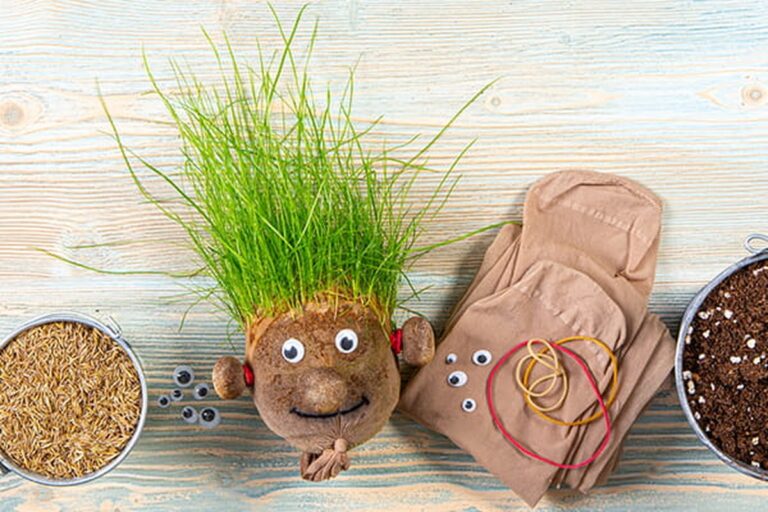 Starý punčoch do péče o rostliny: ten trik z babiččiny doby stojí za zlato