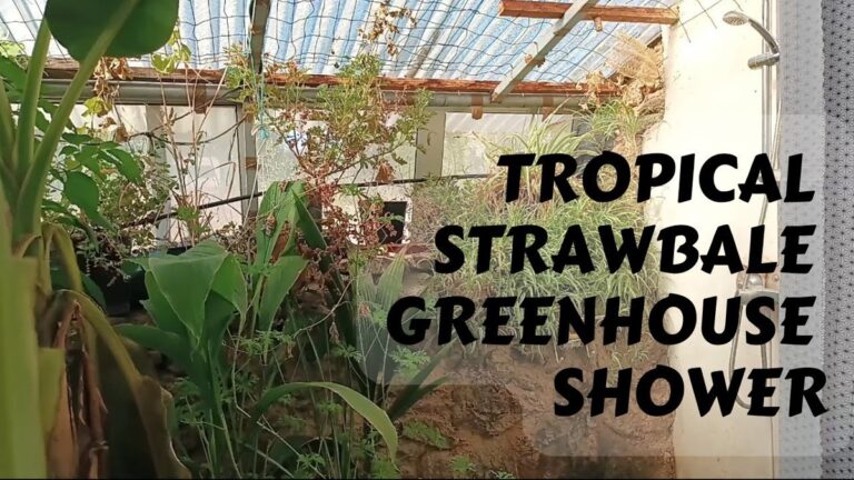 Starý sprchový kout jako zázračná nádoba na školkování? Zkuste to