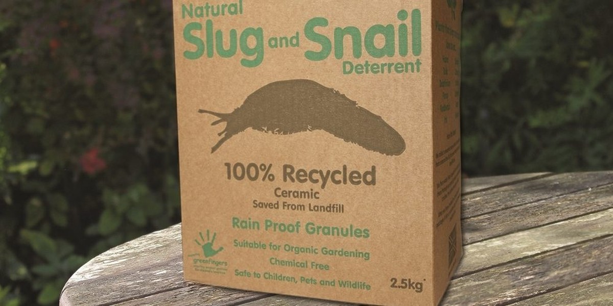 Sůl a ocel vytvořují kombinátor proti slimákům, který funguje lépe než past - image 2