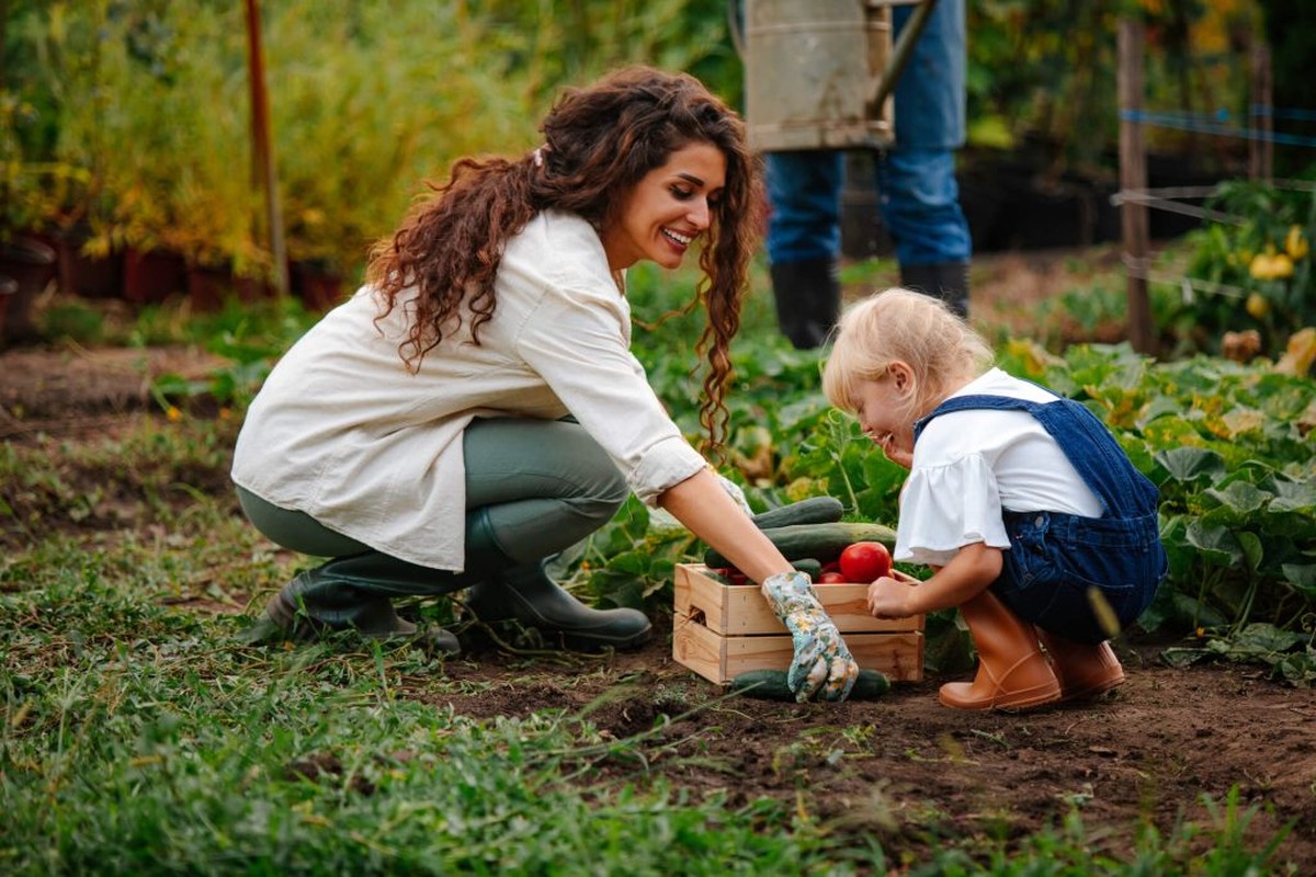 Vejce do půdy kolem rajčat mění všechno – vědí to jen staří zahradníci - image 2