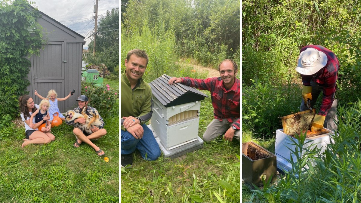 Vejce rozpuštěné v octě: starobylý trik proti škůdcům na bylinkách - image 2