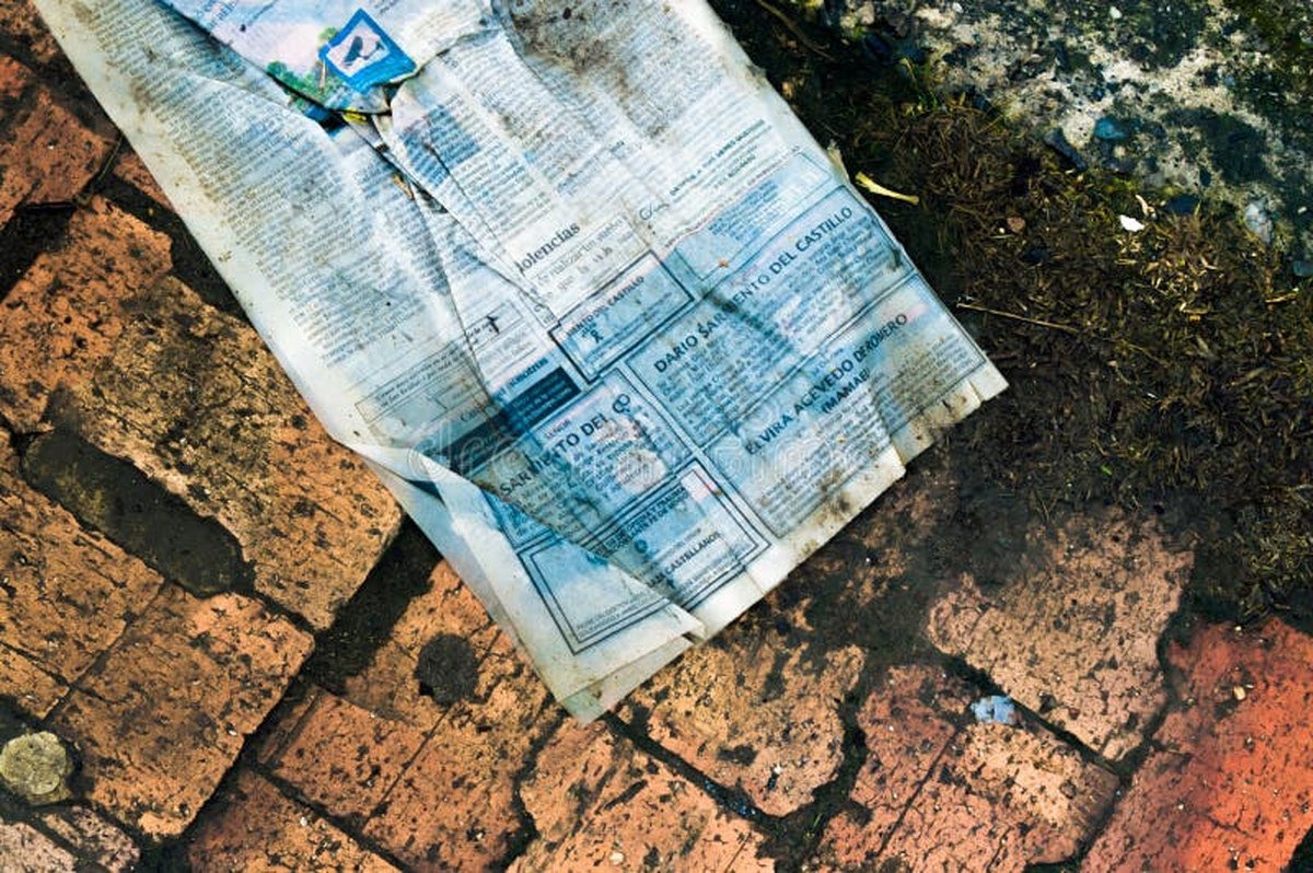 Vlhké noviny pod melouny: proč to zabraňuje hnilobě a zvyšuje chuť - image 1