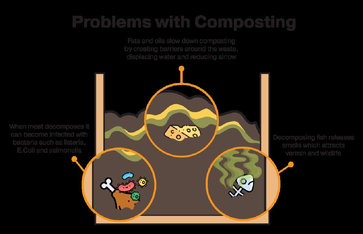 Zahradníci prosí: nikdy nevypouštějte tuto kapalinu do kompostu - image 2
