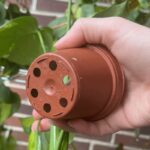 Zahradníci prozradili: jednu věc v květináči nikdy nedělají