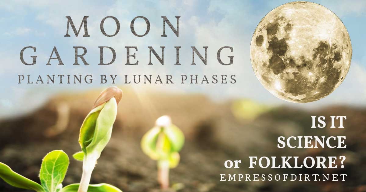 Zahradníci vám скажут: nikdy neříhujte květiny v těchto dnech měsíce - image 1