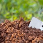 Zahradníci varují: nikdy nekypřete půdu v těchto měsících