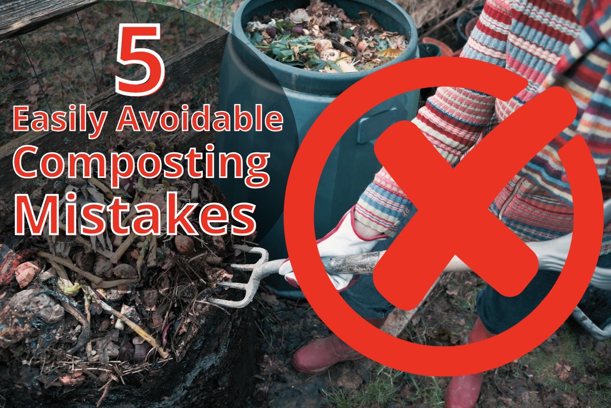 Zahradníci varují: Nikdy tyto zbytky nekompostujte – hrozí vám gliste