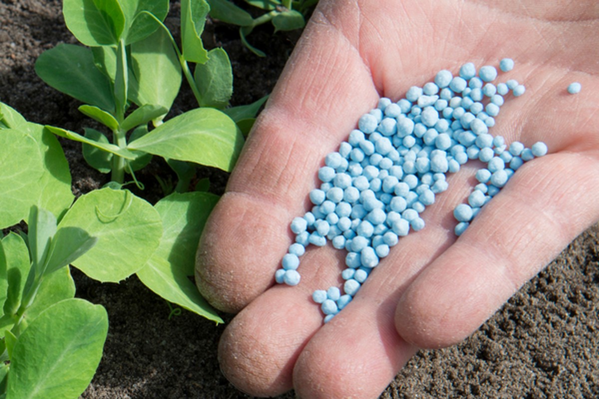 Zahradníci varují: Nikdy nesypejte toto hnojivo do půdy bez těchto kroků - image 2