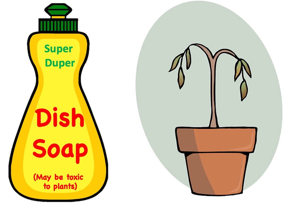 Zaschlá hlína v květináči? Jak ji vrátit do života pomocí obyčejného saponátu - image 2